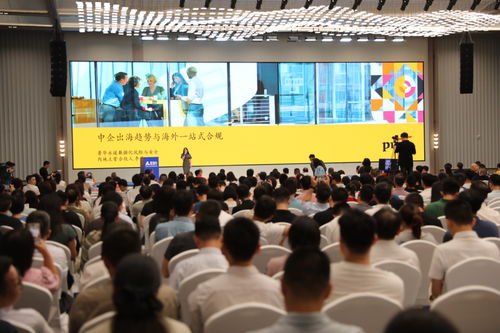 中國企業(yè)出海有了 ai導(dǎo)航 珠海這場峰會藏著 黑科技